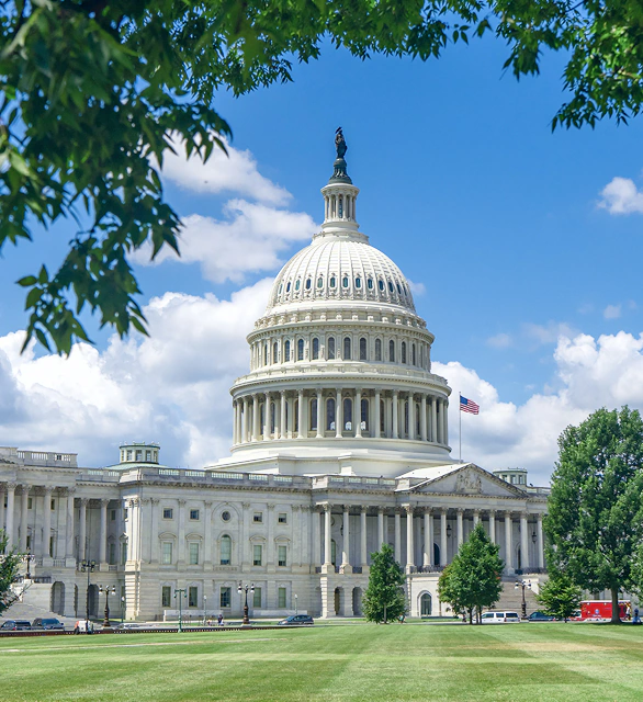 Federal, State, and Municipal Government